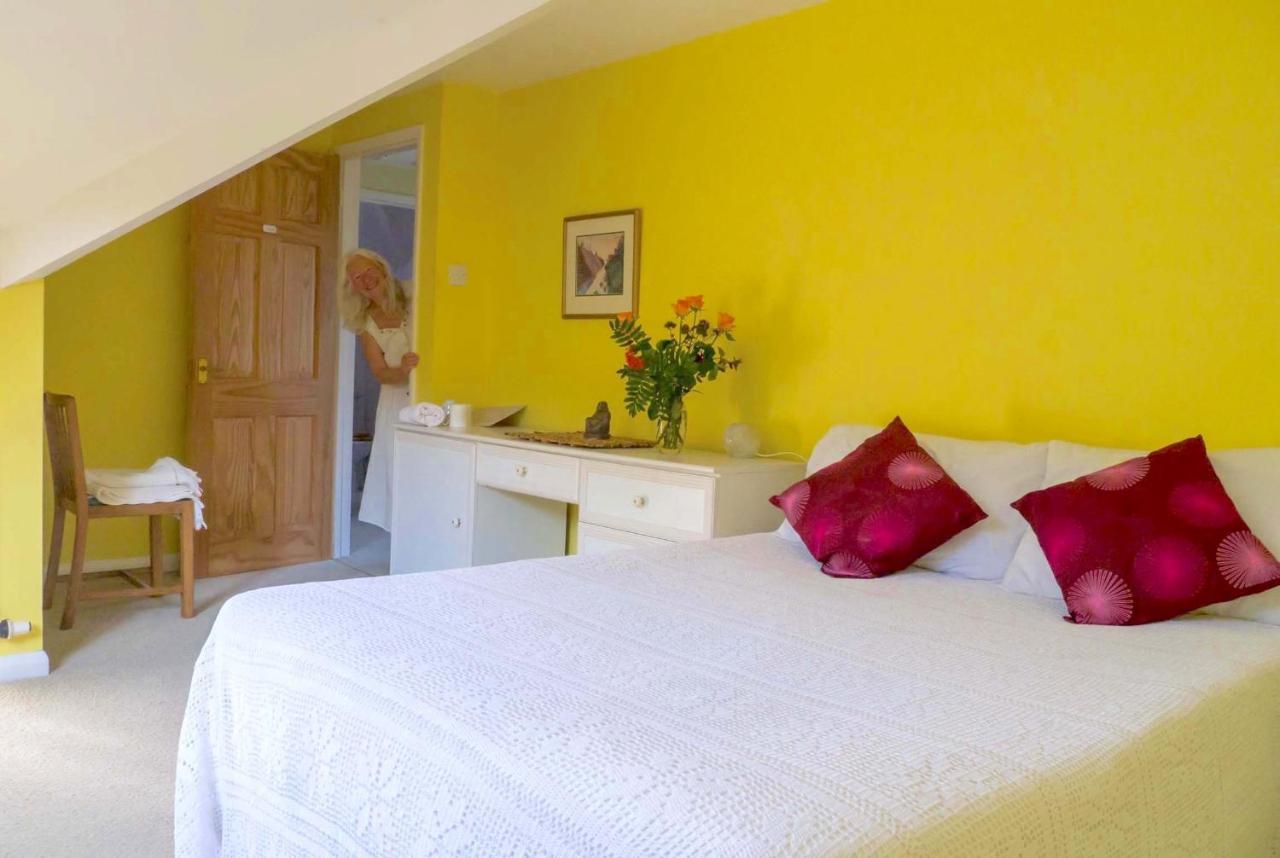 Healing Waters Sanctuary For Exclusive Private Hire And Self Catering Board, Vegetarian, Alcohol & Wifi Free Retreat In Glastonbury Buitenkant foto