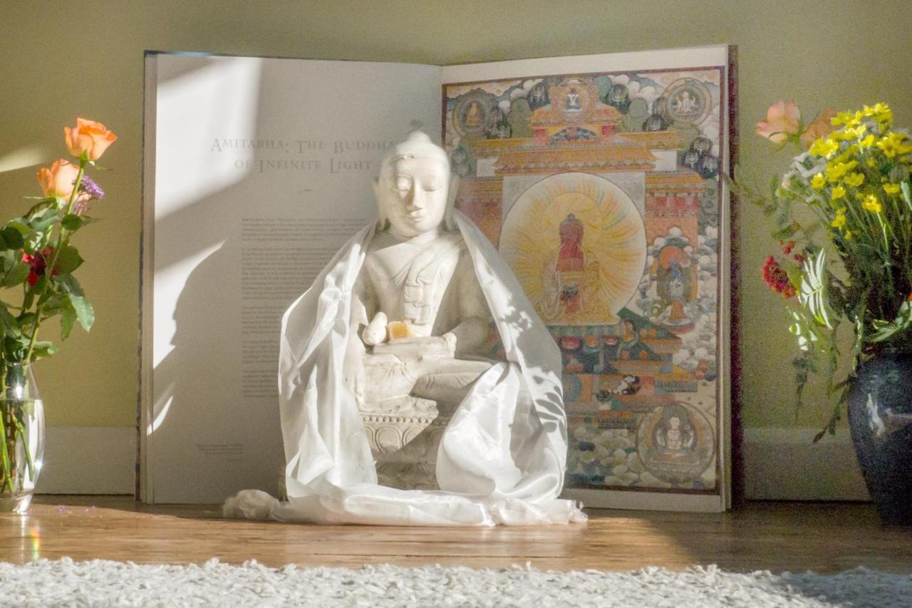Healing Waters Sanctuary For Exclusive Private Hire And Self Catering Board, Vegetarian, Alcohol & Wifi Free Retreat In Glastonbury Buitenkant foto