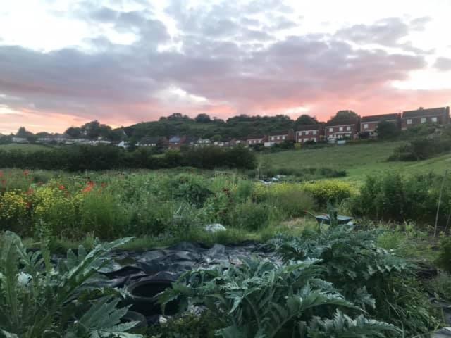 Healing Waters Sanctuary For Exclusive Private Hire And Self Catering Board, Vegetarian, Alcohol & Wifi Free Retreat In Glastonbury Buitenkant foto