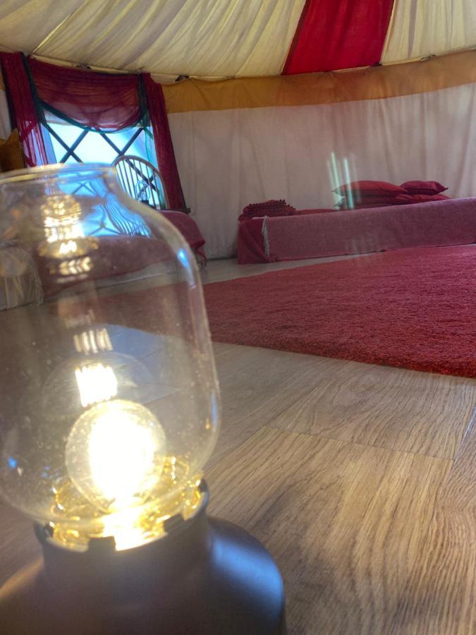 Healing Waters Sanctuary For Exclusive Private Hire And Self Catering Board, Vegetarian, Alcohol & Wifi Free Retreat In Glastonbury Buitenkant foto