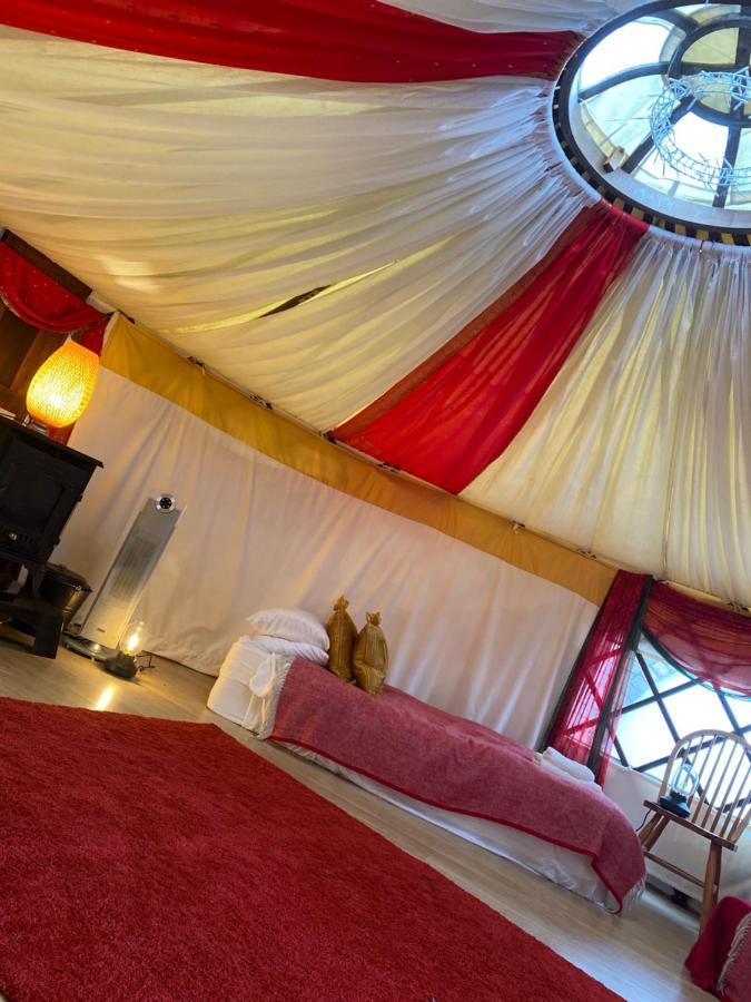 Healing Waters Sanctuary For Exclusive Private Hire And Self Catering Board, Vegetarian, Alcohol & Wifi Free Retreat In Glastonbury Buitenkant foto