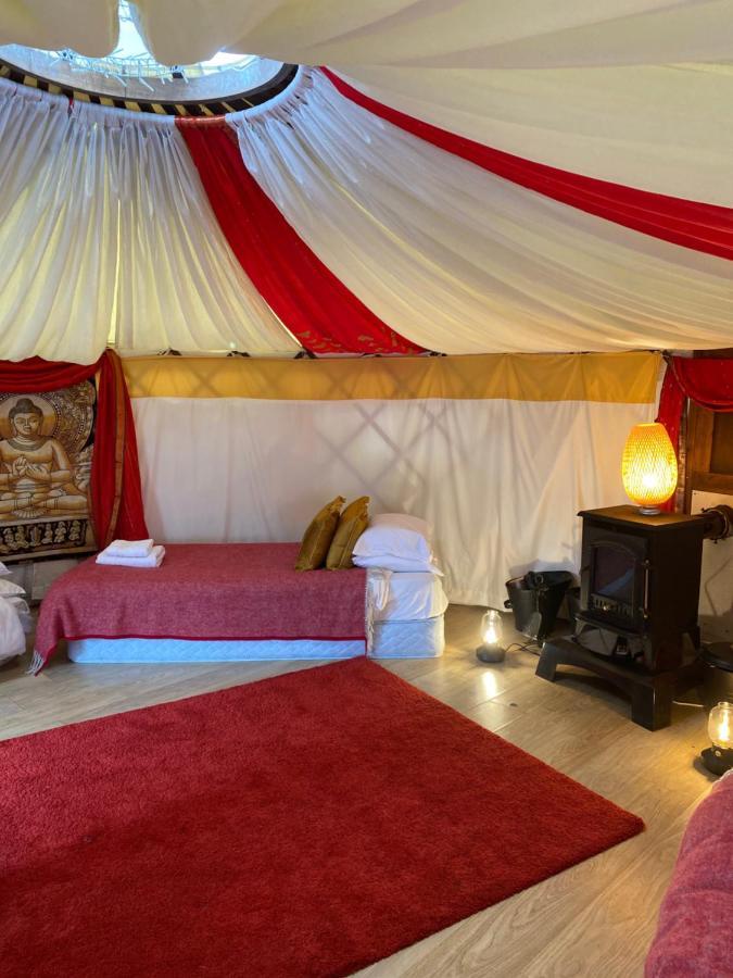 Healing Waters Sanctuary For Exclusive Private Hire And Self Catering Board, Vegetarian, Alcohol & Wifi Free Retreat In Glastonbury Buitenkant foto