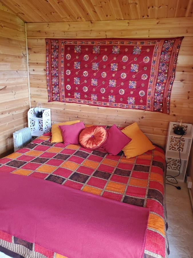 Healing Waters Sanctuary For Exclusive Private Hire And Self Catering Board, Vegetarian, Alcohol & Wifi Free Retreat In Glastonbury Buitenkant foto