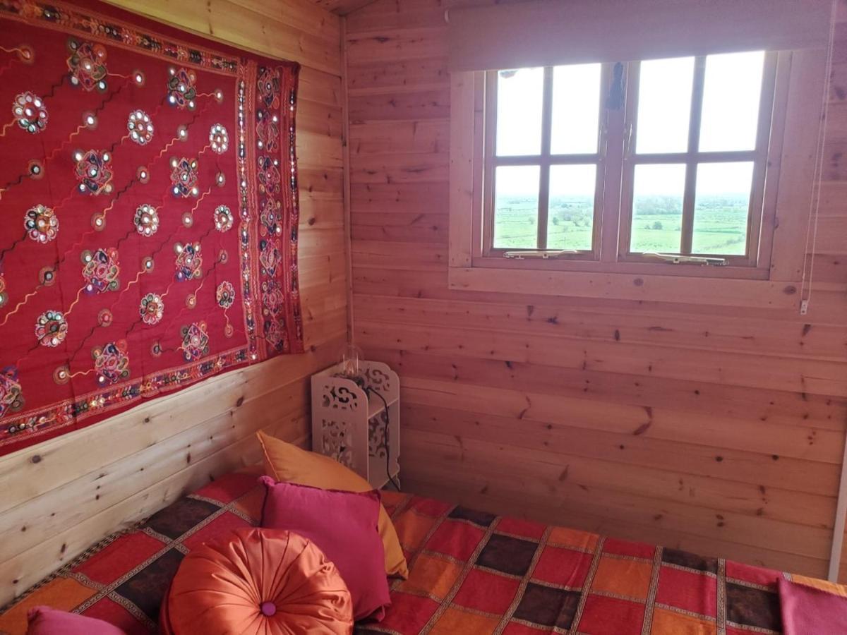 Healing Waters Sanctuary For Exclusive Private Hire And Self Catering Board, Vegetarian, Alcohol & Wifi Free Retreat In Glastonbury Buitenkant foto